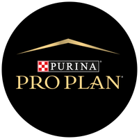 Pro Plan